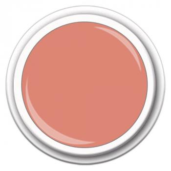 Color FG-283  Pale Peach  5g